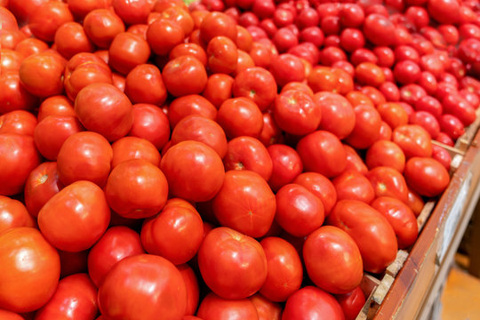 Close-up view of fresh juicy tomatoes, background photography. Summer agriculture farm market tray full of organic tomatoes.