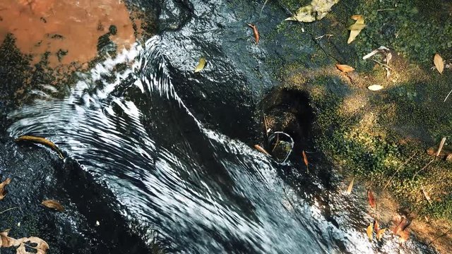 Small Waterstream in the jungle in Paraguay. 4K Water Stock Footage.