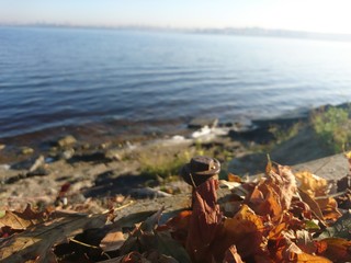 landscape of lakeside in autumn