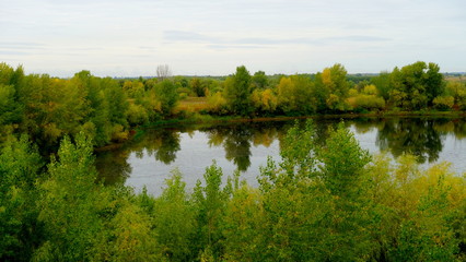  Lake in the forest. Reflection of trees in the water