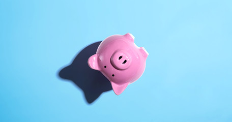 Upside down piggy bank - overhead view flat lay