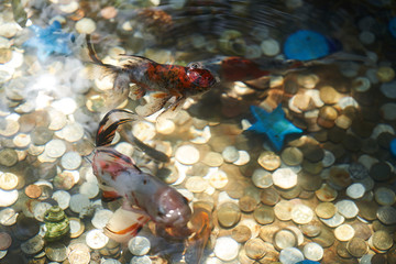 Gold fish in a decorative pool with golden coins, close-up