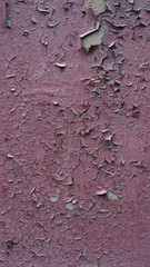 Background texture wall with peeled lilac paint