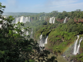 Fototapeta premium brasil