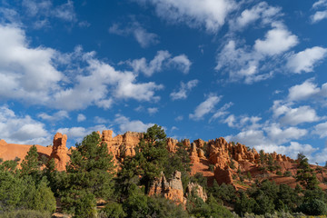 Fototapeta na wymiar USA Bryce Canyon National Park