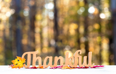 Thankful message in wooden letters Thanksgiving theme on a fall forest background