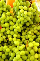 Marché de Boulouris (Var –Midi de la France)