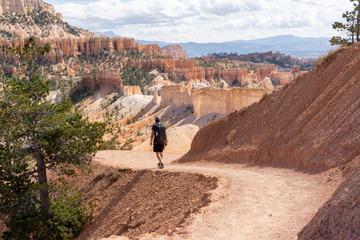 Fototapeta premium USA Bryce Canyon National Park