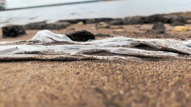 Dolly motion. Trash, plastic, garbage, environmental pollution on the beach. Waste that polluted the ocean environment.  Waste washed into ocean. Plastic bags pollution on beach. 3840x2160 UHD footage
