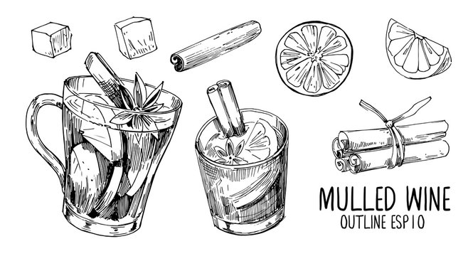 Mulled wine sketches. Hand drawn illustration converted to vector