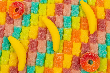 Jelly sweats bears rainbow pattern. Top view.
