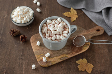 Obraz na płótnie Canvas cup of hot chocolate or cocoa with marshmallows on a dark background with yellow autumn leaves