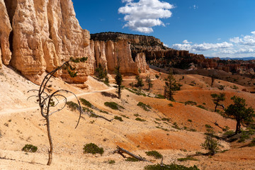 USA Bryce Canyon National Park