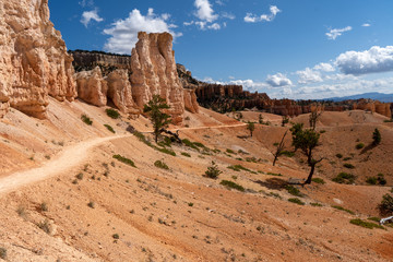 Fototapeta premium USA Bryce Canyon National Park
