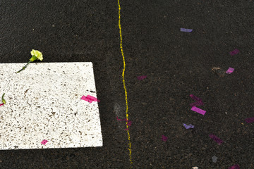 Road Symbol Signs; Traffic Symbols for Roadway