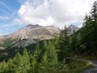 Montagne nuage lac allos mercantour sapin