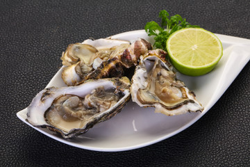 Oysters with lime and parsley
