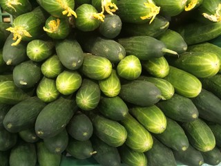 fresh green long fruited cucumbers stacked on top of each other