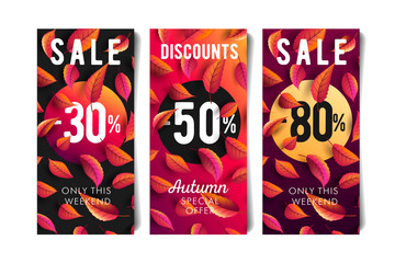 Autumn fall sale flyers set with percentage discounts and coloured leaves