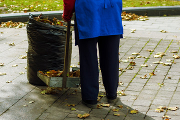 Man collects fallen leaves in a garbage bag.
