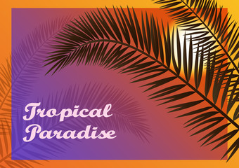 Fototapeta na wymiar Exotic Background, Tropical Palms Trees Leaves Silhouettes and San on Sky. Vector