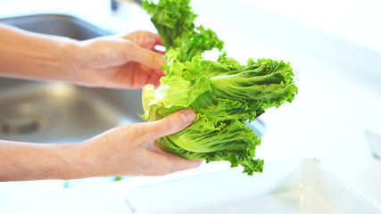 レタスをちぎる女性