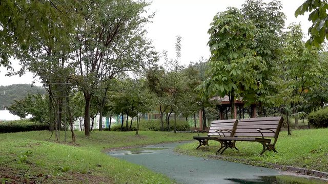 bench in the park