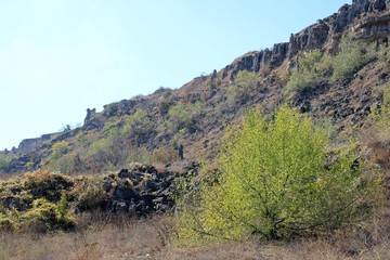 Fototapeta na wymiar Stone forest in the area 