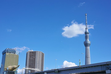 Naklejka premium 東京観光