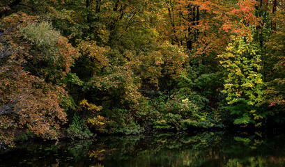 Obraz premium Autumn, Park, pond, trees.