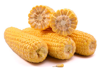 Corn isolated on a white background