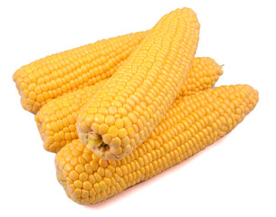 Corn isolated on a white background
