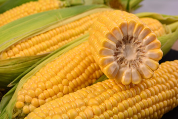 Fresh corn on cobs, closeup