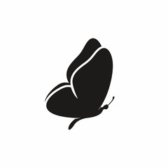 Butterfly icon vector