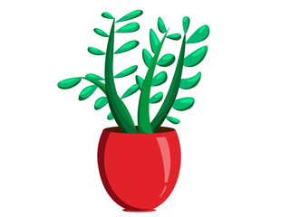 Potted plant on red vase