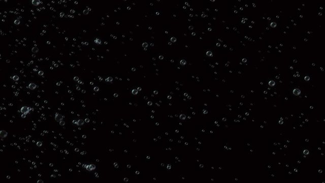 Air or water bubbles in dark backdrop, animated video. Transparent bubbles are quickly moving up and floating on black background. Looks like soda ar champagne bubbles. Soap bubbles.