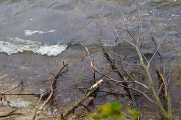 Dead, broken trees lie on the Bank in the river. A wave rolls over the rocky shore.