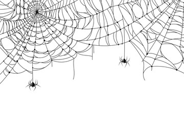 Cobweb background. Scary spider web with spooky spider, creepy arthropod halloween decor, net texture tattoo design vector template
