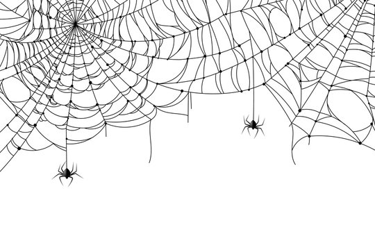 Cobweb Background. Scary Spider Web With Spooky Spider, Creepy Arthropod Halloween Decor, Net Texture Tattoo Design Vector Template