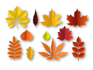 Paper autumn leaves. Beautiful fall colourful foliage. Orange, red and yellow papercut leaf decoration isolated vector elements