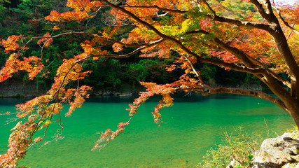 beautiful background with Hozugawa river located in Arashiyama park in autumn season, Kyoto, Japan, Japanese style, panorama