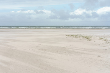 Dünen an der Nordsee