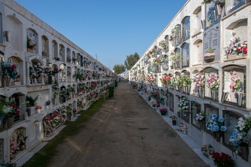 Fototapeta na wymiar Friedhof in Spanien 