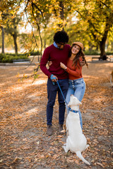 Fototapeta premium Multiracial couple walking with dog in autumn park