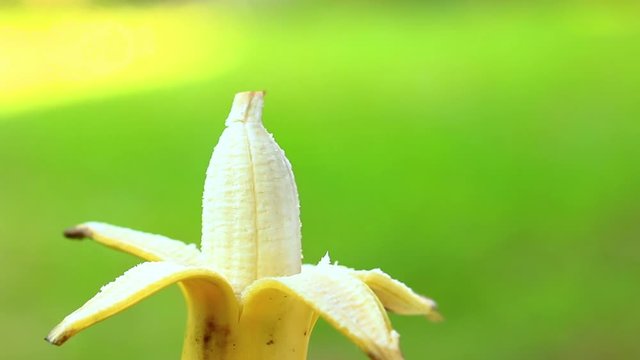 Peeled banana, yellow fruit which will take care of health (vegetarian build human genius)