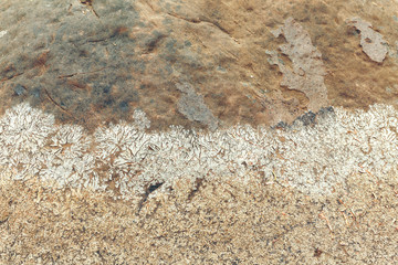 Dried moss on giant rock at waterfall for background usage.
