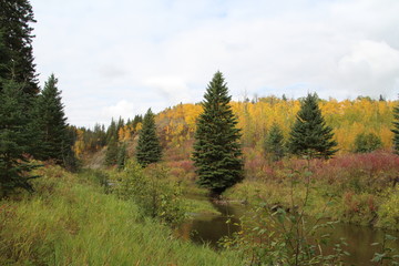 Another View Of Whitemud Creek, Whitemud Park, Edmonton, Alberta