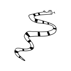 Naklejka premium Informative poster sketch hand-drawn animal snake.