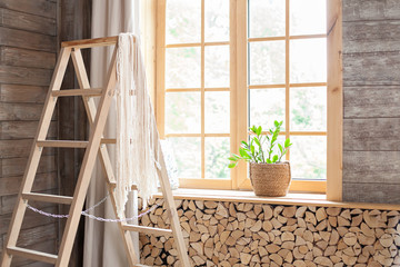 Large skylights with wooden trim, curtains and stepladder. Beautiful morning. Zamioculcas House...