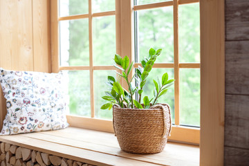 Zamioculcas home plant in a straw pot on a windowsill. Comfort. The decor of the room. The concept of home gardening. Zamioculcas potted on the windowsill of the house. Scandinavian. place for text - Powered by Adobe